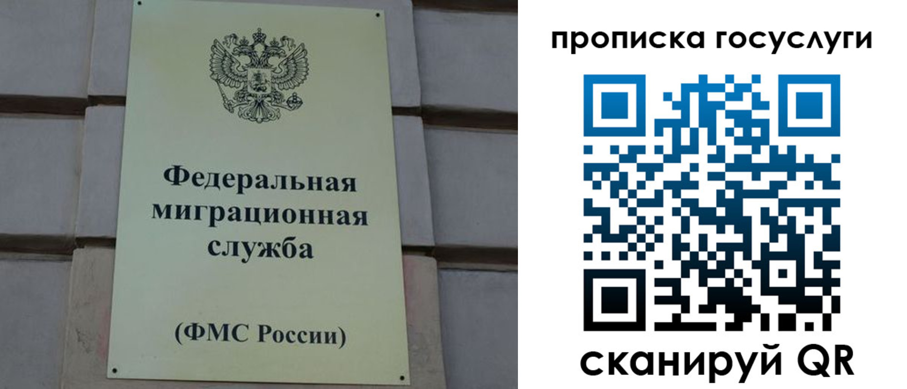 прописка ребенка в Ногинске